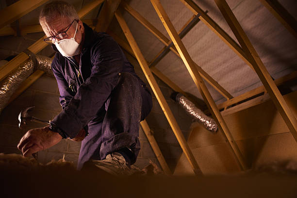 Best Eco-Friendly Insulation in Basin, WY